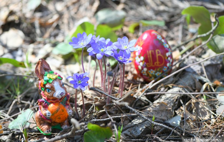 Амели. Фанатское издание 2023 г. Художница Amelie (Амели) от Ruby Red