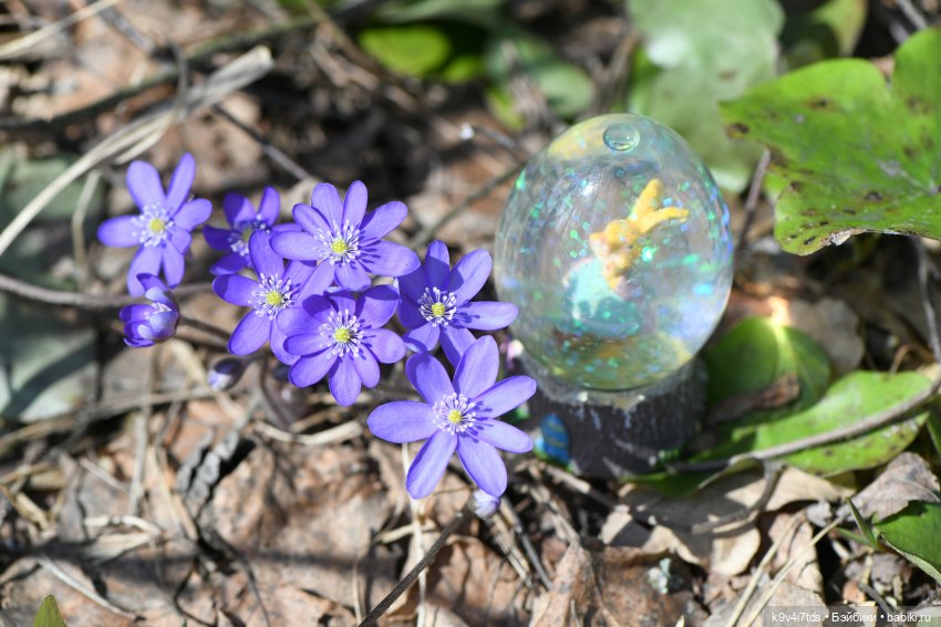 Амели. Фанатское издание 2023 г. Художница Amelie (Амели) от Ruby Red