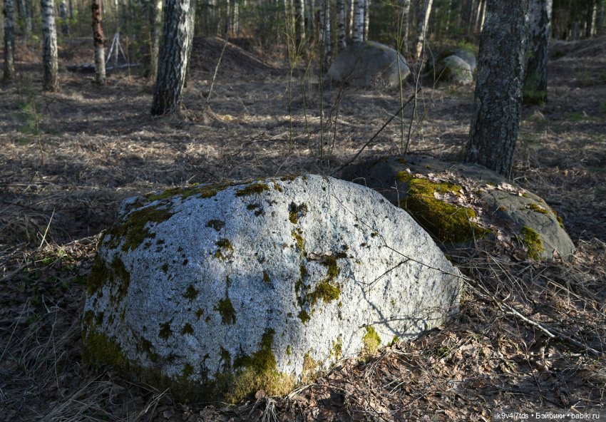 Весеннее путешествие в "Сад Камней"