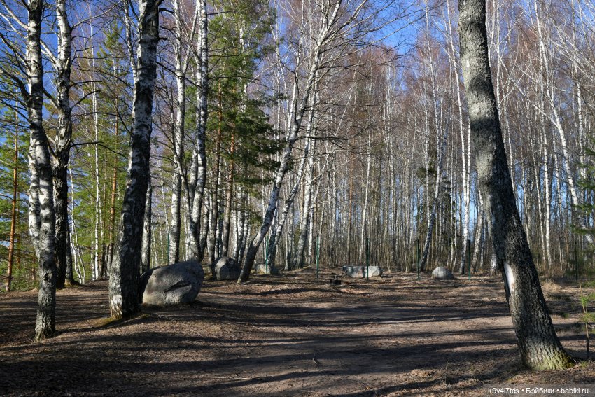 Весеннее путешествие в "Сад Камней"