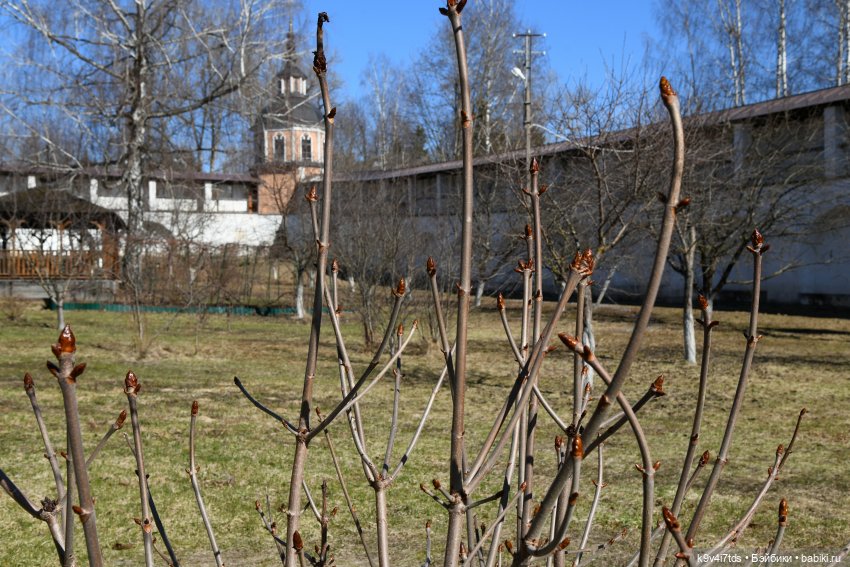 Весеннее путешествие в Старицу, первая часть (фото 5)