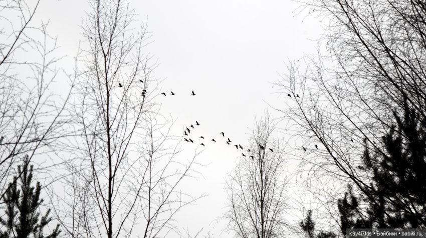 Пасхальная прогулка Имани. Mini Imani, автор Kaye Wiggs (фото 9)