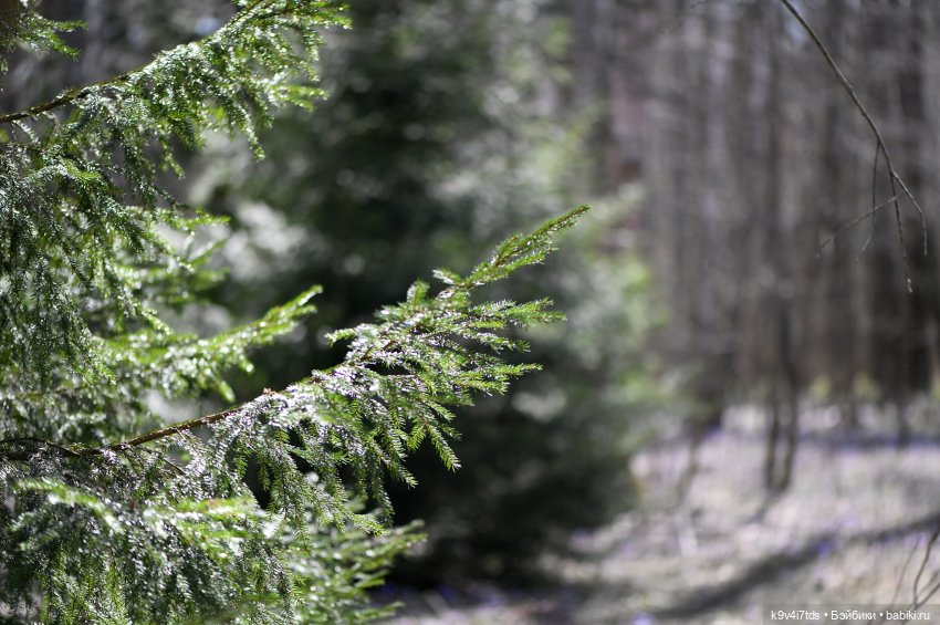 Имани и Солнечный конь. Mini Imani, автор Kaye Wiggs