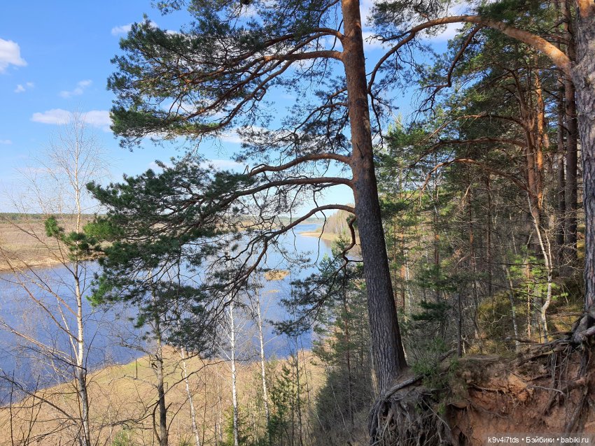 Имани и Солнечный конь. Mini Imani, автор Kaye Wiggs