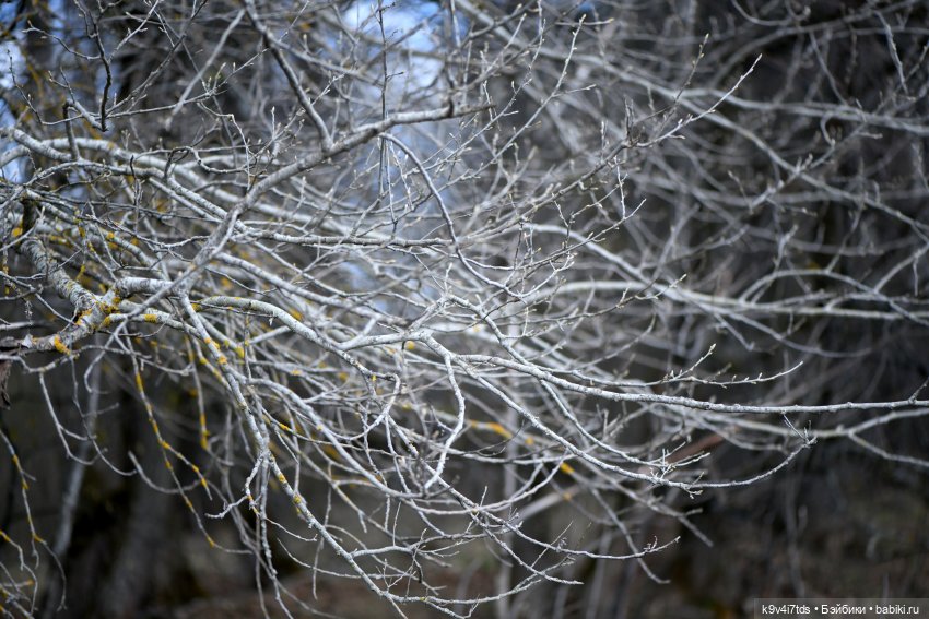 Имани и Солнечный конь. Mini Imani, автор Kaye Wiggs