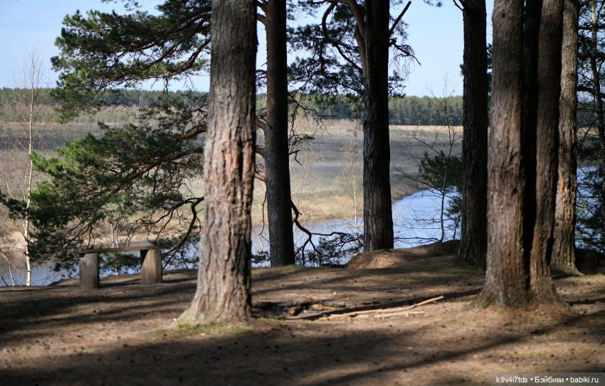 Имани и Солнечный конь. Mini Imani, автор Kaye Wiggs