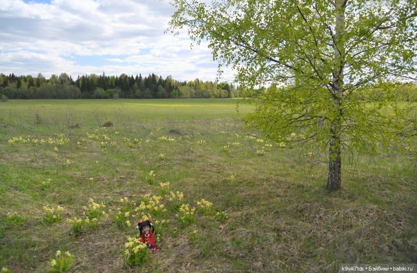 Красавица Сиун. Сиун/Xióng Xióng от Ruby Red/Руби Ред. Номер куклы 192