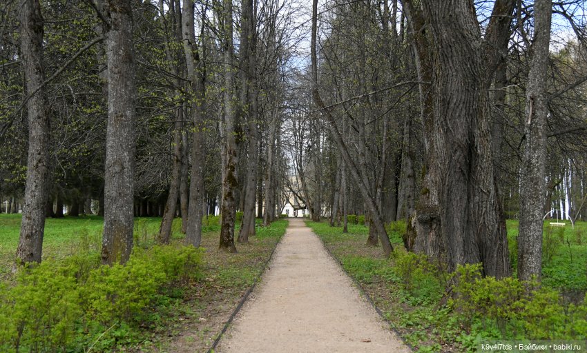 Красавица Сиун. Сиун/Xióng Xióng от Ruby Red/Руби Ред. Номер куклы 192