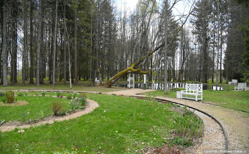 Красавица Сиун. Сиун/Xióng Xióng от Ruby Red/Руби Ред. Номер куклы 192