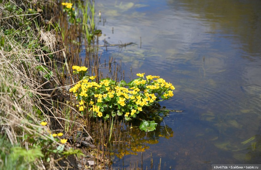 Красавица Сиун. Сиун/Xióng Xióng от Ruby Red/Руби Ред. Номер куклы 192