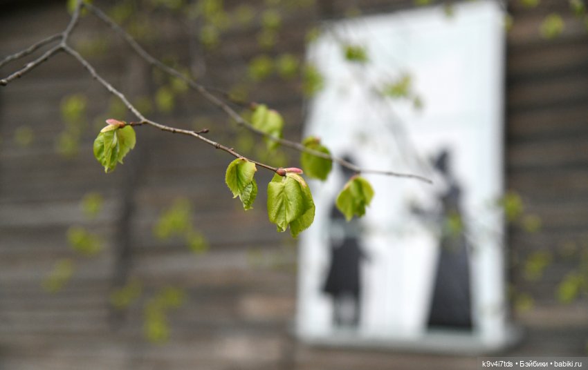 Красавица Сиун. Сиун/Xióng Xióng от Ruby Red/Руби Ред. Номер куклы 192