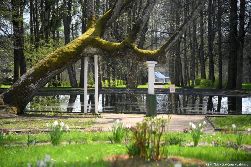 Красавица Сиун. Сиун/Xióng Xióng от Ruby Red/Руби Ред. Номер куклы 192