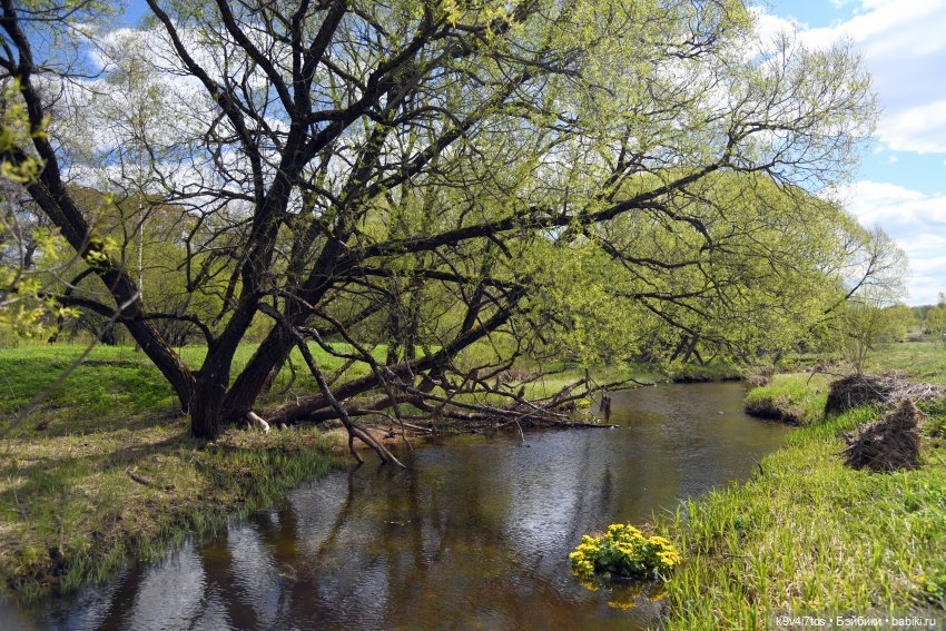 Красавица Сиун. Сиун/Xióng Xióng от Ruby Red/Руби Ред. Номер куклы 192