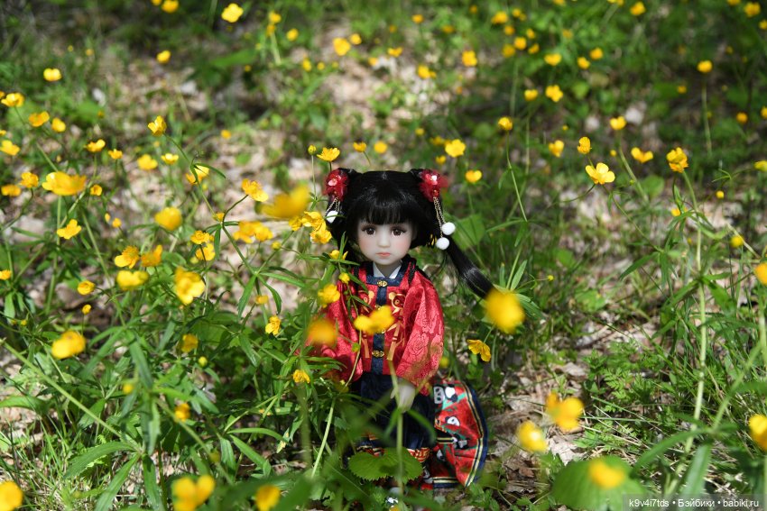 Красавица Сиун. Сиун/Xióng Xióng от Ruby Red/Руби Ред. Номер куклы 192