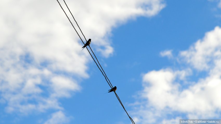 Красавица Сиун. Сиун/Xióng Xióng от Ruby Red/Руби Ред. Номер куклы 192