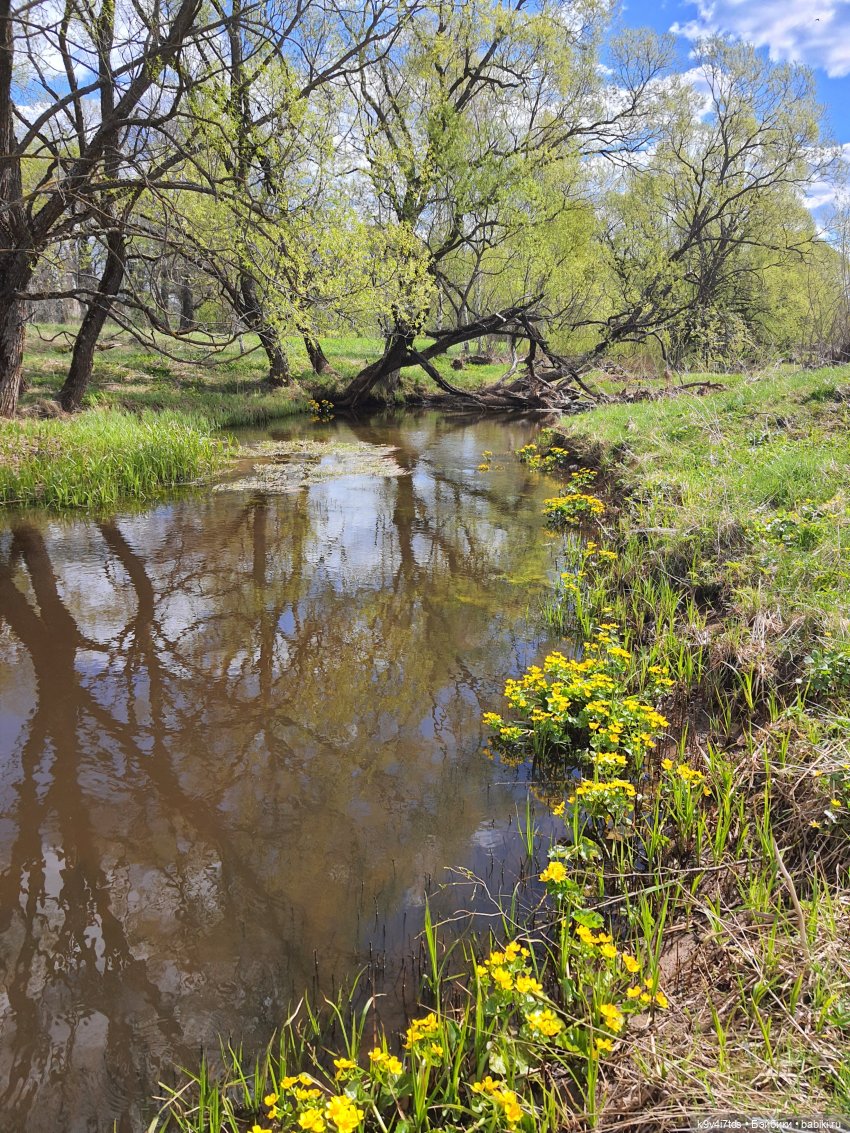 Красавица Сиун. Сиун/Xióng Xióng от Ruby Red/Руби Ред. Номер куклы 192