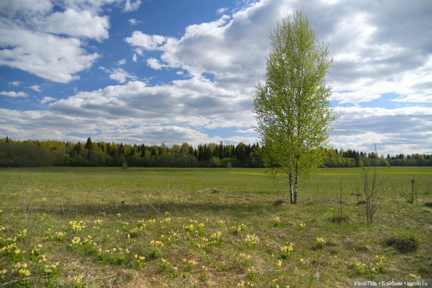 Красавица Сиун. Сиун/Xióng Xióng от Ruby Red/Руби Ред. Номер куклы 192