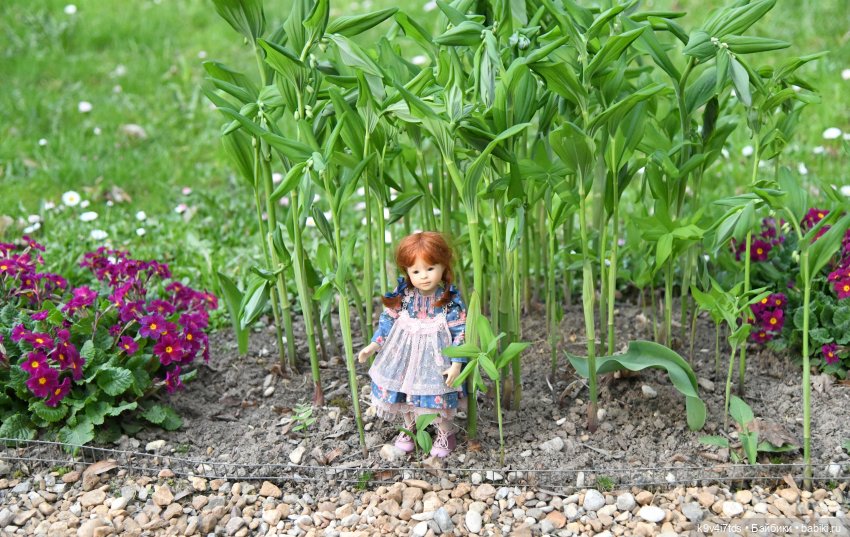Аксюша в Берново — Куклы Heidi Plusczok (Хайди/Хейди Плюсчок) — фото