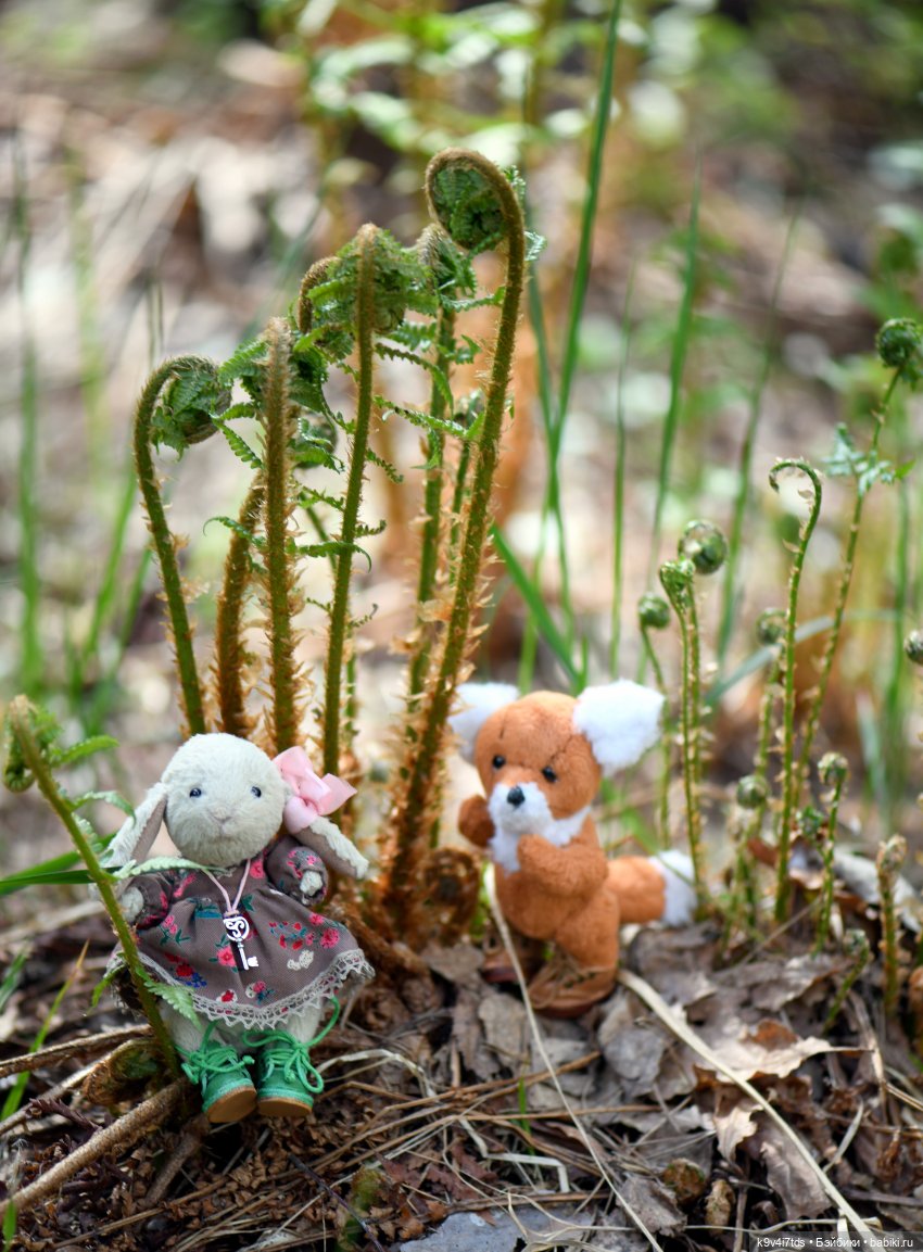 Аксюшина Весна — Куклы Heidi Plusczok (Хайди/Хейди Плюсчок) — фото