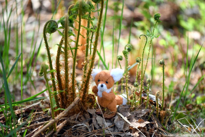 Аксюшина Весна — Куклы Heidi Plusczok (Хайди/Хейди Плюсчок) — фото