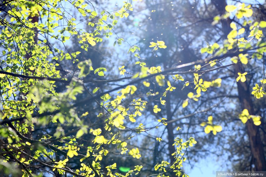 Аксюшина Весна — Куклы Heidi Plusczok (Хайди/Хейди Плюсчок) — фото