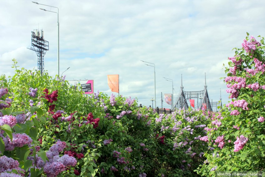 Пэтси в "Сиреневом саду", Дворцовый парк, г. Тверь