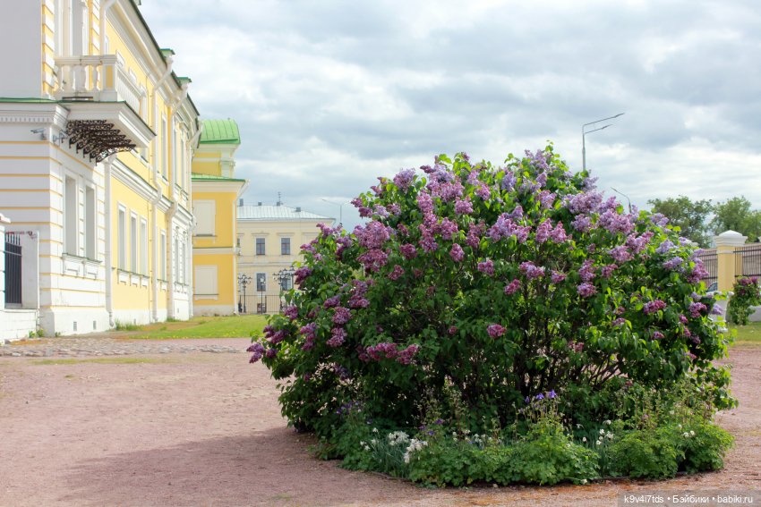 Пэтси в "Сиреневом саду", Дворцовый парк, г. Тверь