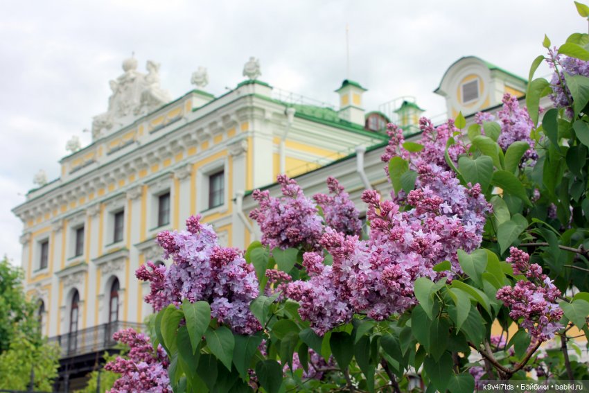 Пэтси в "Сиреневом саду", Дворцовый парк, г. Тверь