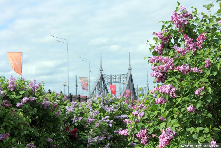 Пэтси в "Сиреневом саду", Дворцовый парк, г. Тверь