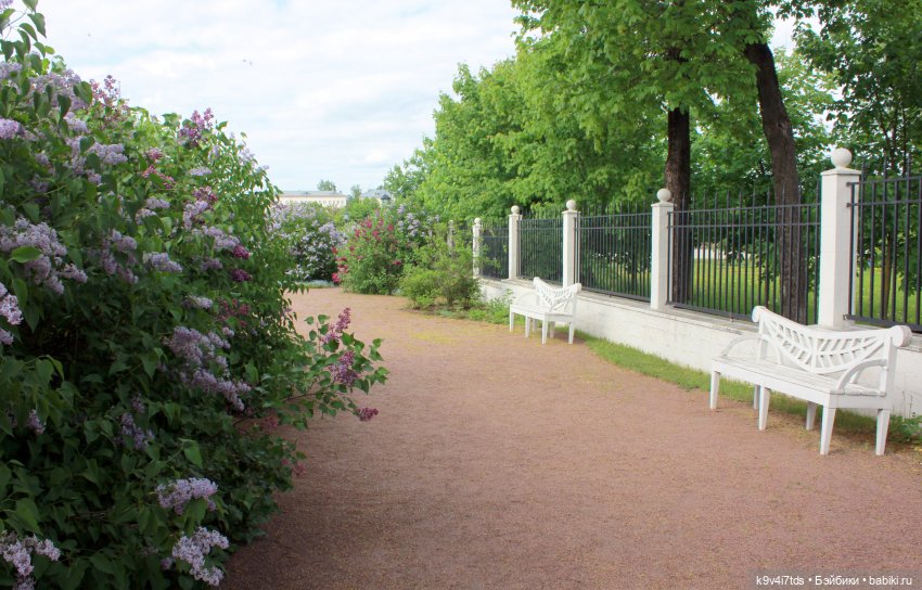Пэтси в "Сиреневом саду", Дворцовый парк, г. Тверь