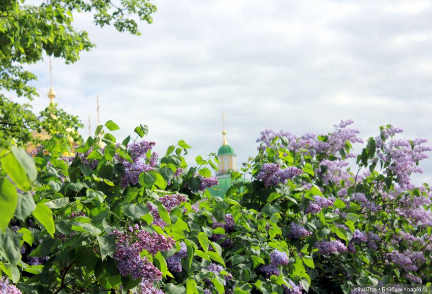 Пэтси в "Сиреневом саду", Дворцовый парк, г. Тверь