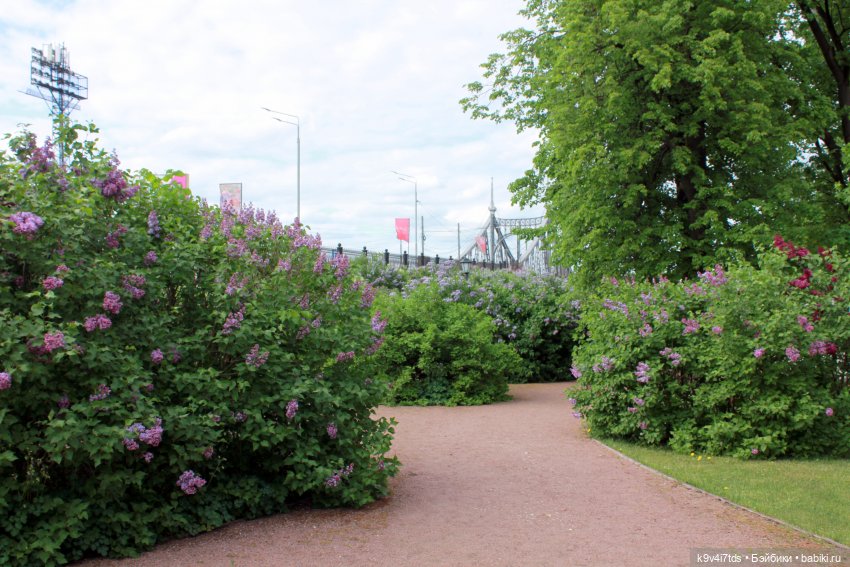 Пэтси в "Сиреневом саду", Дворцовый парк, г. Тверь