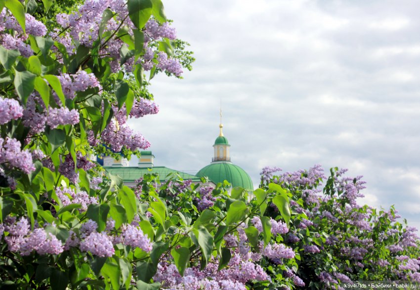 Пэтси в "Сиреневом саду", Дворцовый парк, г. Тверь