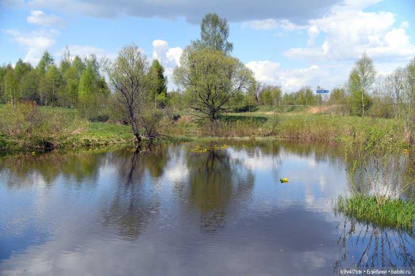Весна с Сиун. Сиун/Xióng Xióng от Ruby Red/Руби Ред