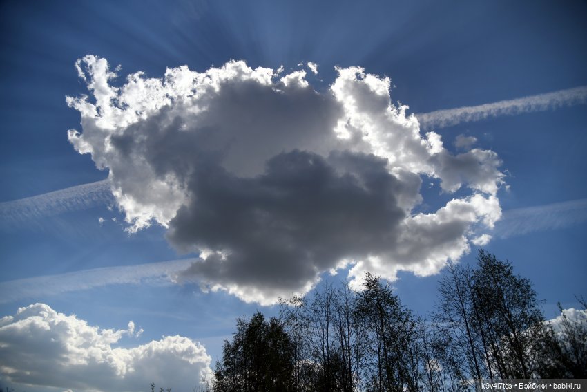 Весна с Сиун. Сиун/Xióng Xióng от Ruby Red/Руби Ред (фото 8)