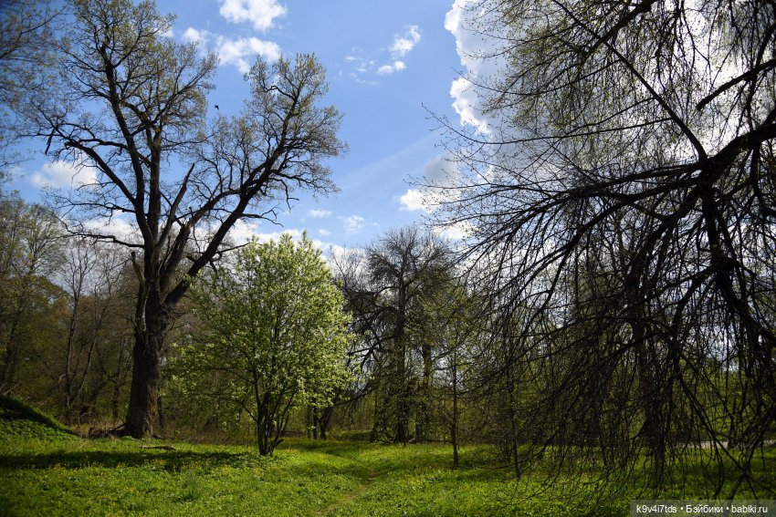 Весна с Сиун. Сиун/Xióng Xióng от Ruby Red/Руби Ред