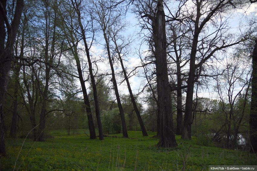 Весна с Сиун. Сиун/Xióng Xióng от Ruby Red/Руби Ред