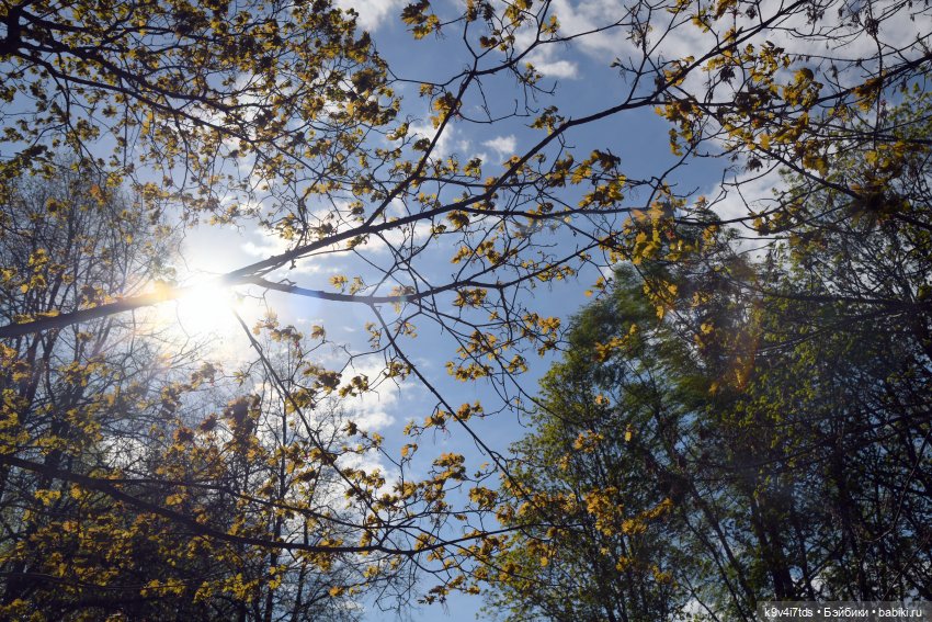 Весна с Сиун. Сиун/Xióng Xióng от Ruby Red/Руби Ред