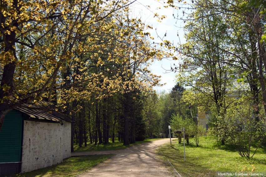 Весна с Сиун. Сиун/Xióng Xióng от Ruby Red/Руби Ред