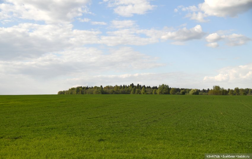 Весна с Сиун. Сиун/Xióng Xióng от Ruby Red/Руби Ред