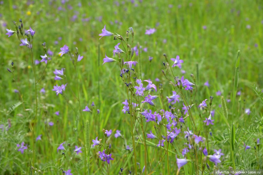 "Ирреальный" Июнь — Куклы Irrealdoll (Ирреалдолл): BJD (БЖД) (фото 2)