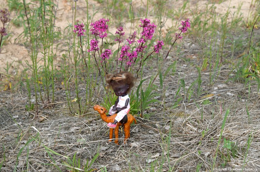 "Ирреальный" Июнь — Куклы Irrealdoll (Ирреалдолл): BJD (БЖД)