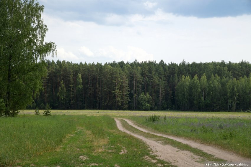 "Ирреальный" Июнь — Куклы Irrealdoll (Ирреалдолл): BJD (БЖД)