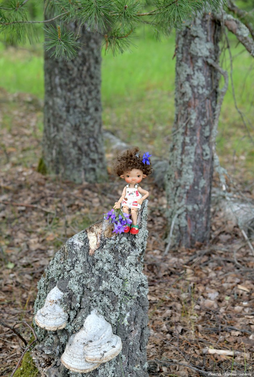 "Ирреальный" Июнь — Куклы Irrealdoll (Ирреалдолл): BJD (БЖД) (фото 7)