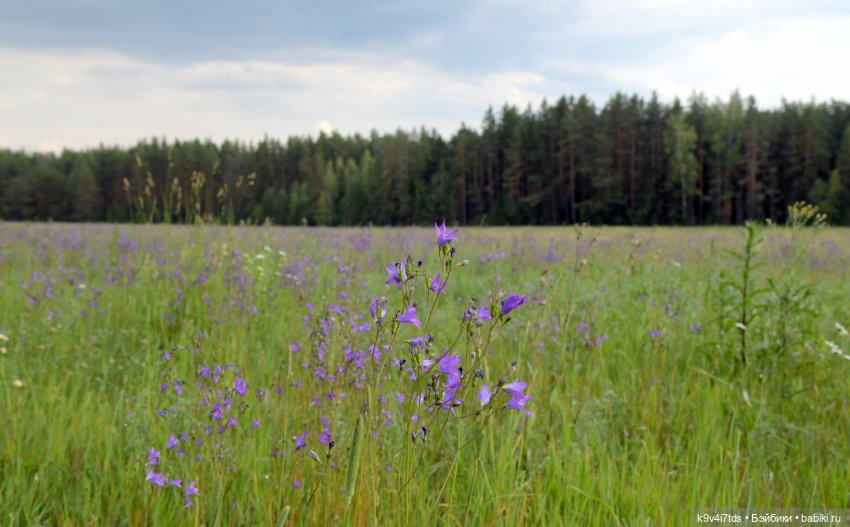 "Ирреальный" Июнь — Куклы Irrealdoll (Ирреалдолл): BJD (БЖД)