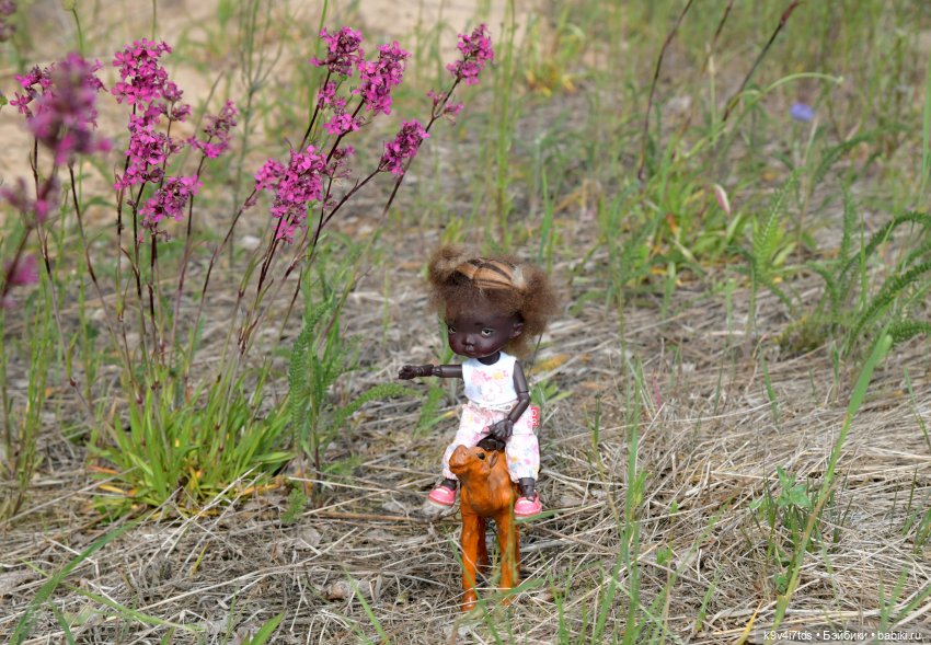 "Ирреальный" Июнь — Куклы Irrealdoll (Ирреалдолл): BJD (БЖД)