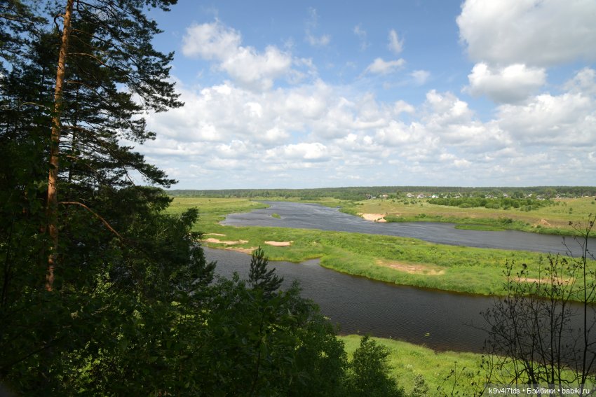 Лесная прогулка Ивы и Авроры (фото 9)