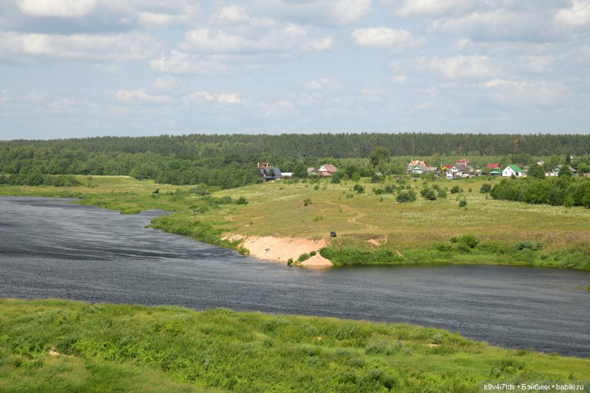 Лесная прогулка Ивы и Авроры