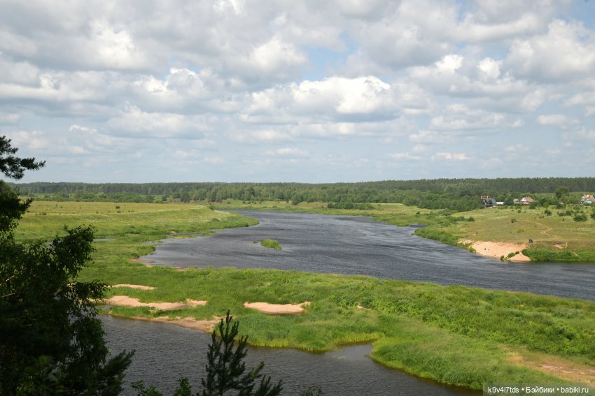 Лесная прогулка Ивы и Авроры (фото 10)