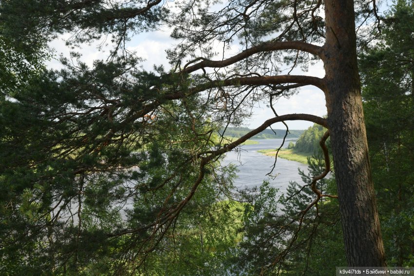 Лесная прогулка Ивы и Авроры